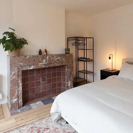 Theodore Schwann - Duplex Centre De Apartment *