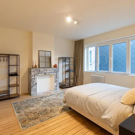 Apartment Theodore Schwann - Duplex Centre De *