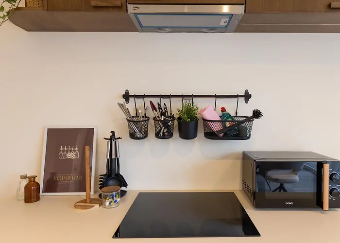 Apartamento Theodore Schwann - Duplex Centre De Lieja