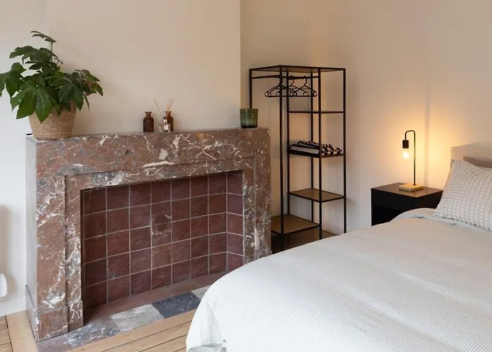 Theodore Schwann - Duplex 2 Centre De Apartment *